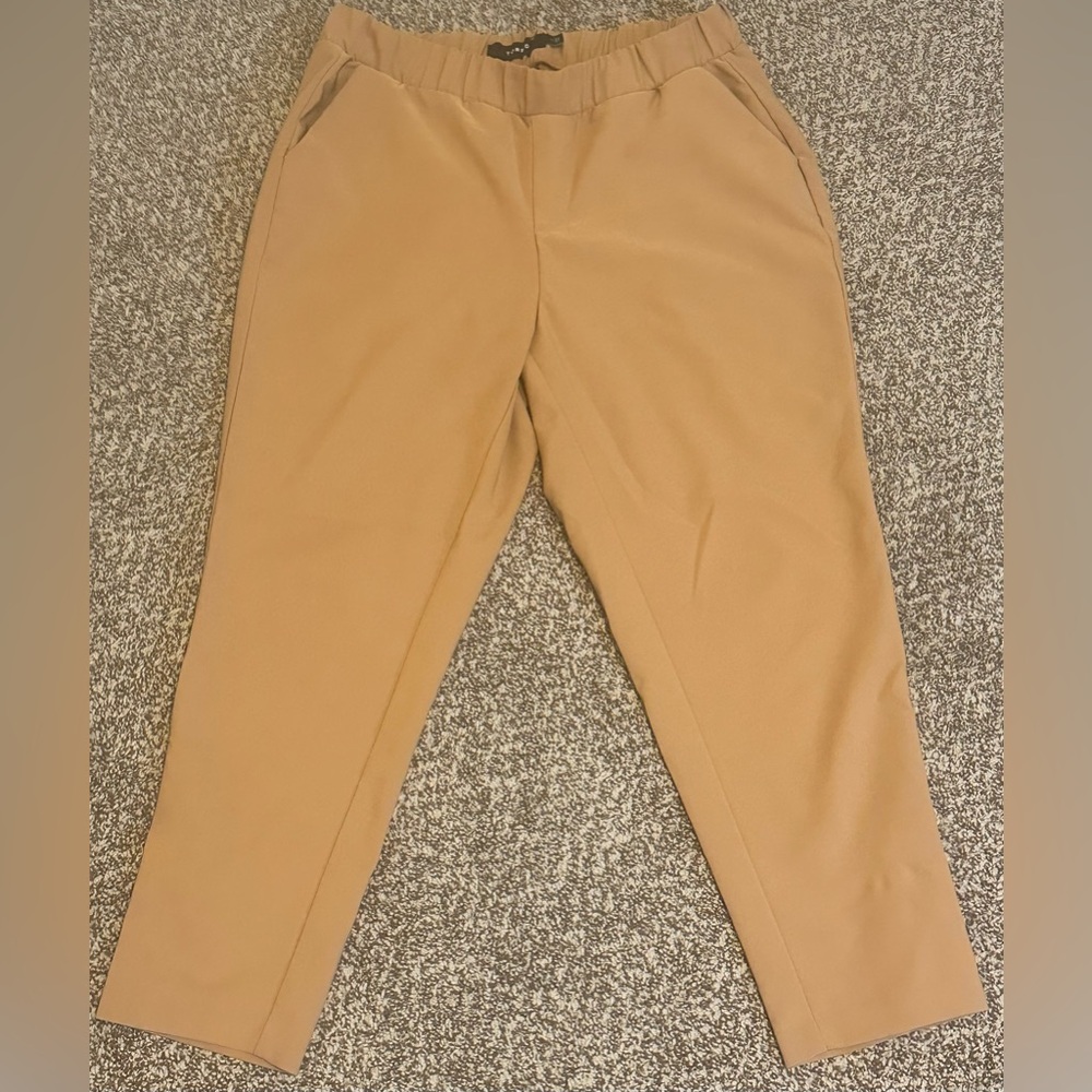 Torrid Dress Pants
